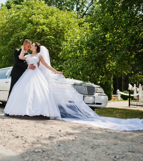 O’hare Limo Service and Party Bus Rental  wedding